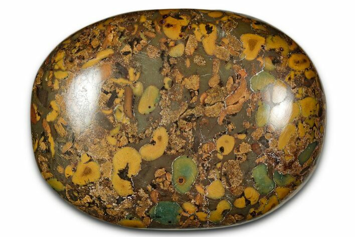 Polished Fruit Jasper Palm Stone - India #342238